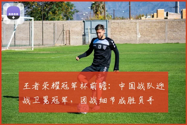 王者荣耀冠军杯前瞻：中国战队迎战卫冕冠军，团战细节成胜负手
