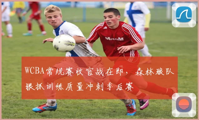 WCBA常规赛收官战在即,森林狼队狠抓训练质量冲刺季后赛