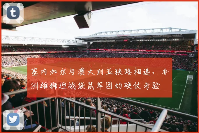 塞内加尔与澳大利亚狭路相逢,非洲雄狮迎战袋鼠军团的硬仗考验
