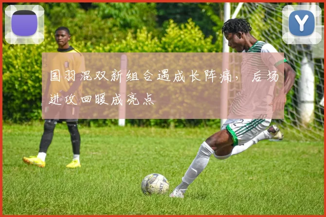 国羽混双新组合遇成长阵痛,后场进攻回暖成亮点